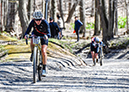 Paris to Ancaster