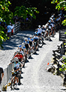 2026 Canadian MTB Championships - Team Relay