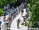 2026 Canadian MTB Championships - Team Relay