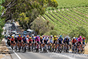 Tour Down Under - Women