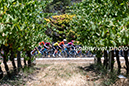 Tour Down Under - Women
