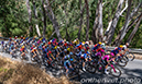 Tour Down Under - Women