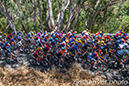 Tour Down Under - Women