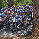 Tour Down Under - Women
