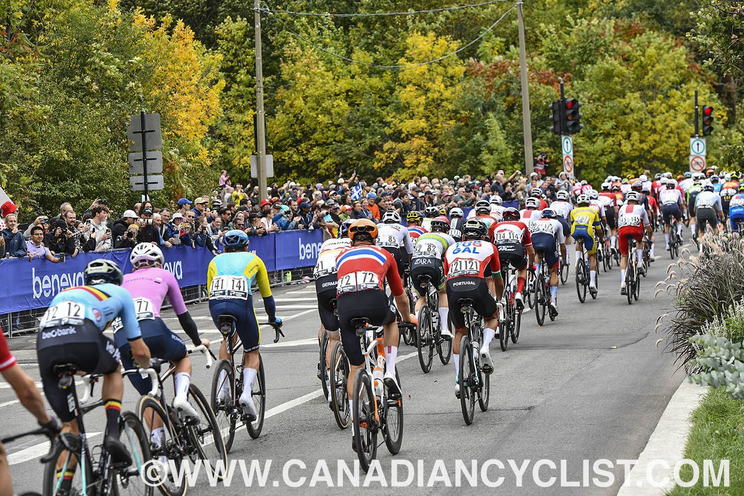 2026 Road World Championships