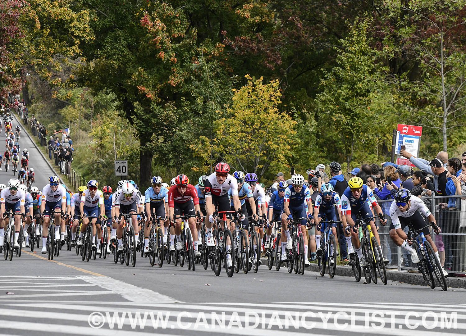 2026 Road World Championships