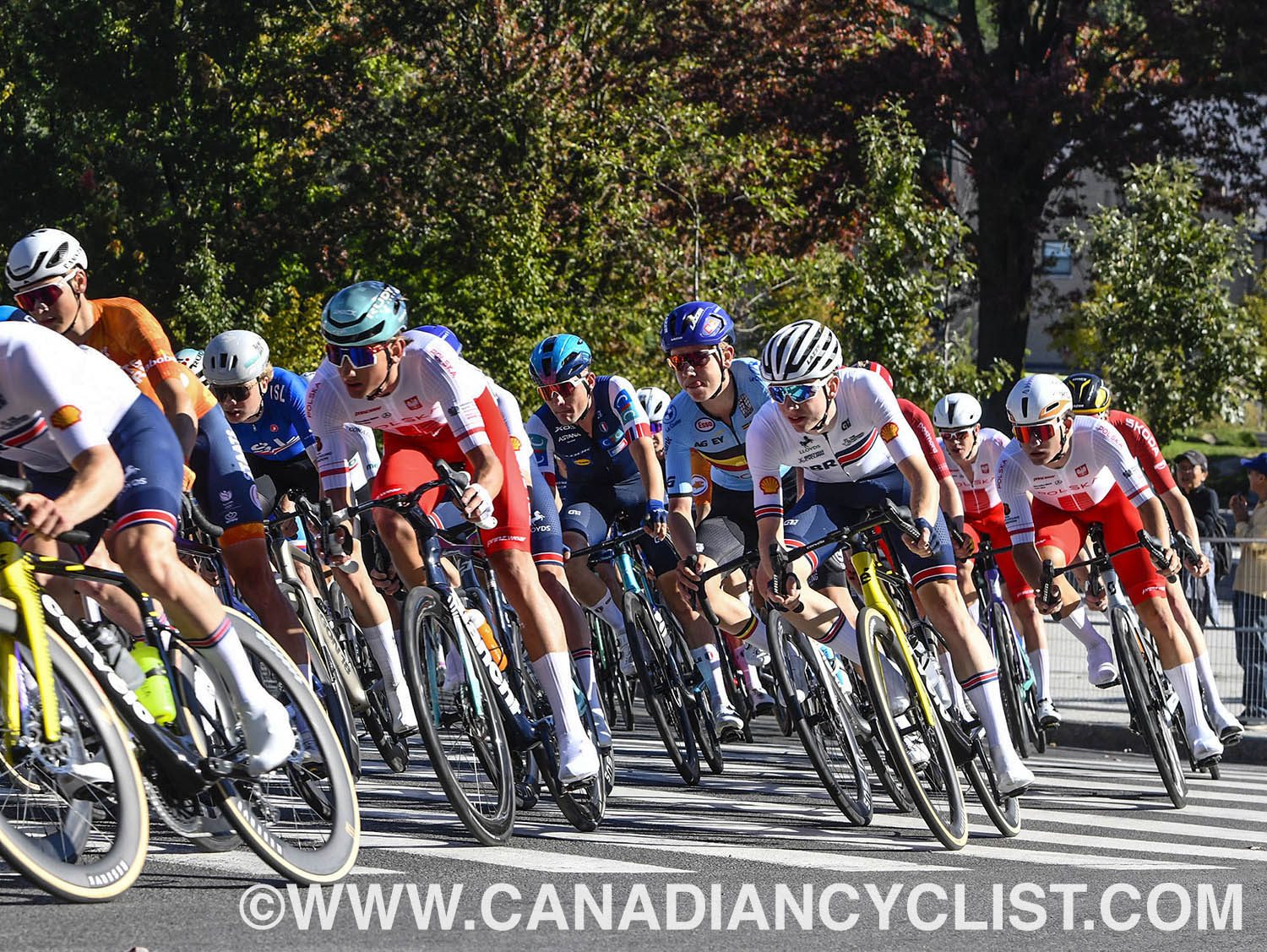 2026 Road World Championships