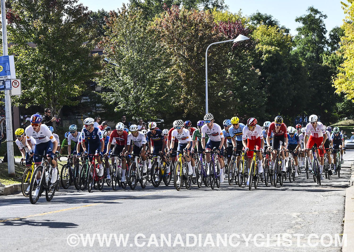 2026 Road World Championships