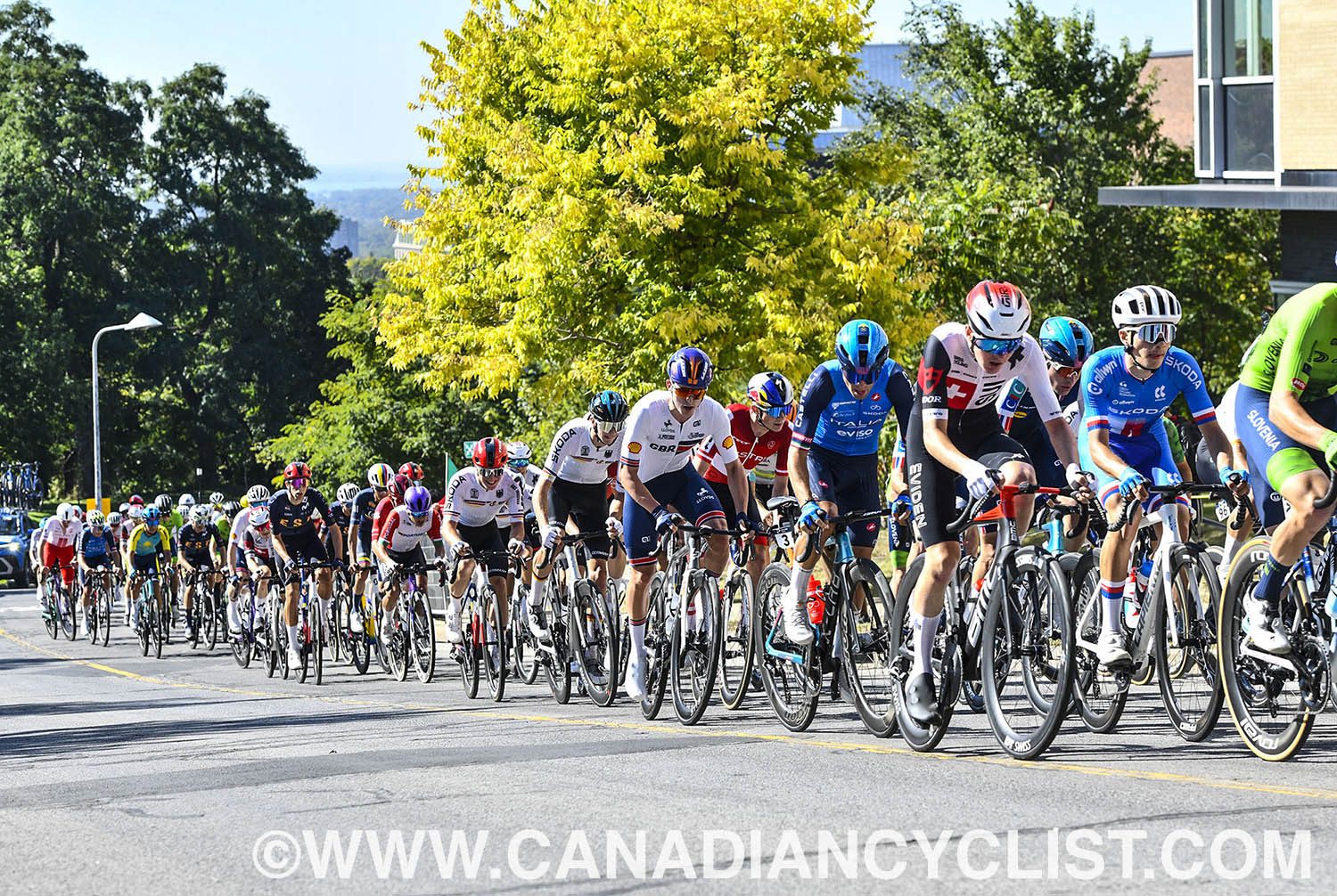 2026 Road World Championships