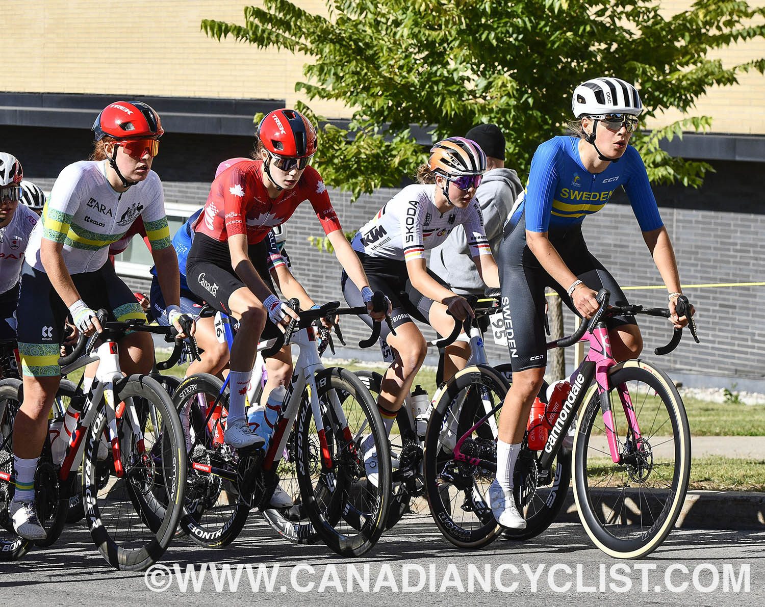 2026 Road World Championships