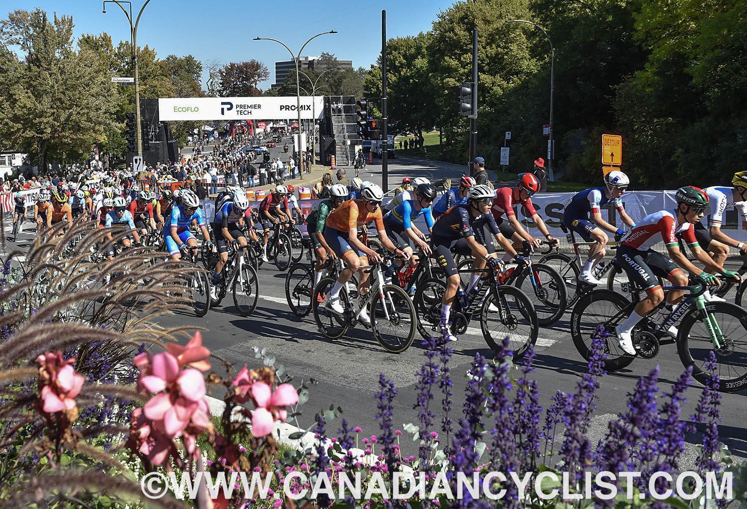 2026 Road World Championships