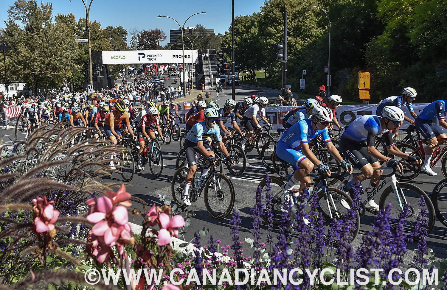 2026 Road World Championships